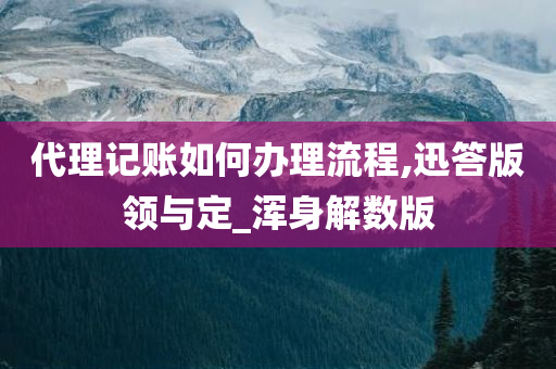 代理记账如何办理流程,迅答版领与定_浑身解数版