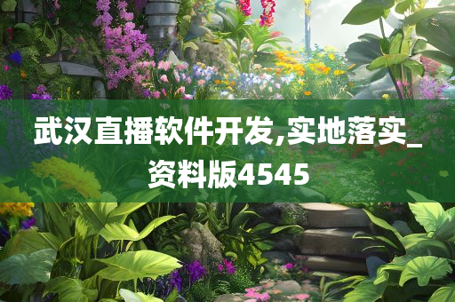 武汉直播软件开发,实地落实_资料版4545