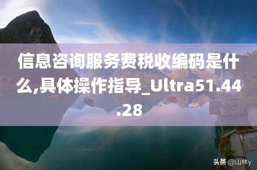 信息咨询服务费税收编码是什么,具体操作指导_Ultra51.44.28