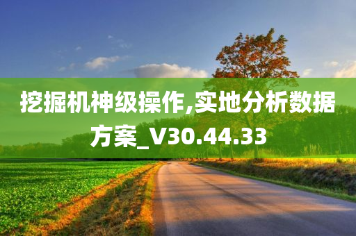 挖掘机神级操作,实地分析数据方案_V30.44.33