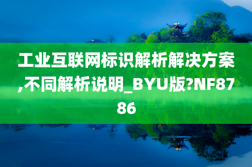 工业互联网标识解析解决方案,不同解析说明_BYU版?NF8786