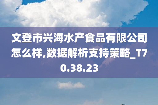 文登市兴海水产食品有限公司怎么样,数据解析支持策略_T70.38.23