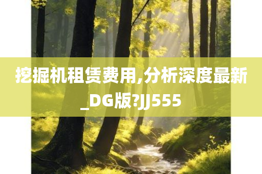 挖掘机租赁费用,分析深度最新_DG版?JJ555