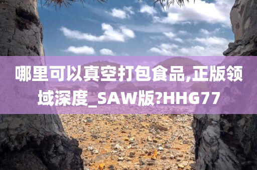 哪里可以真空打包食品,正版领域深度_SAW版?HHG77