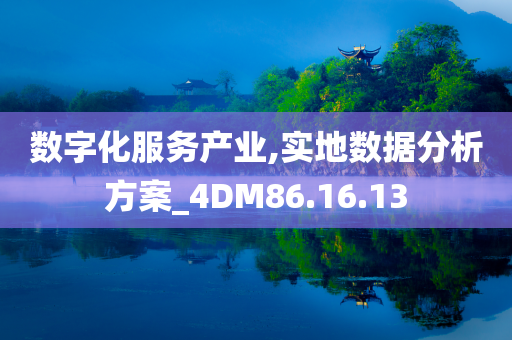 数字化服务产业,实地数据分析方案_4DM86.16.13