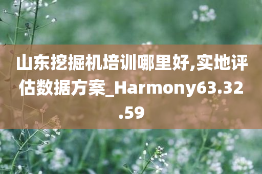 山东挖掘机培训哪里好,实地评估数据方案_Harmony63.32.59