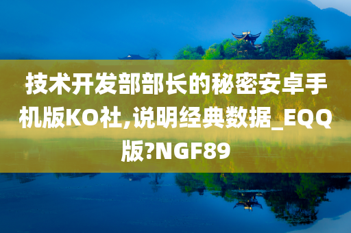 技术开发部部长的秘密安卓手机版KO社,说明经典数据_EQQ版?NGF89