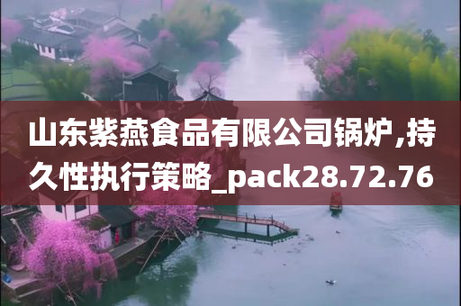 山东紫燕食品有限公司锅炉,持久性执行策略_pack28.72.76