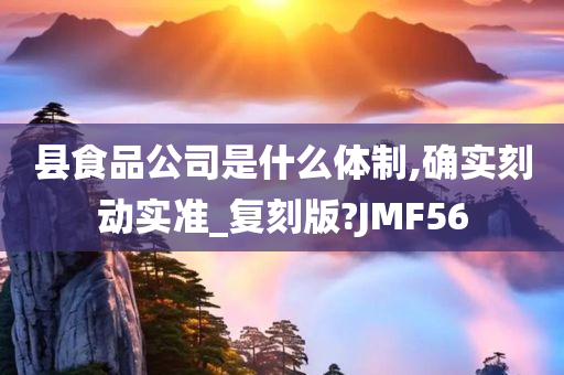 县食品公司是什么体制,确实刻动实准_复刻版?JMF56