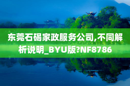 东莞石碣家政服务公司,不同解析说明_BYU版?NF8786