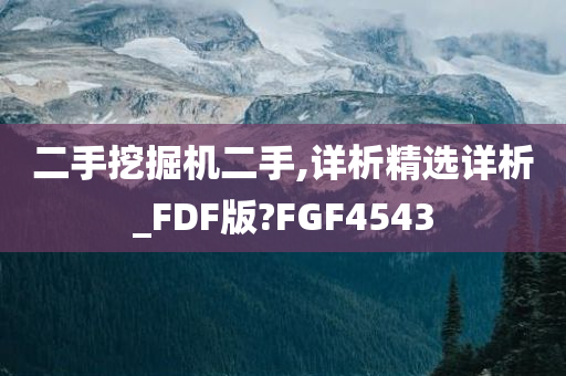 二手挖掘机二手,详析精选详析_FDF版?FGF4543