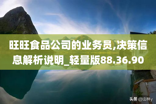 旺旺食品公司的业务员,决策信息解析说明_轻量版88.36.90