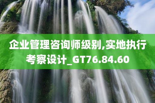 企业管理咨询师级别,实地执行考察设计_GT76.84.60