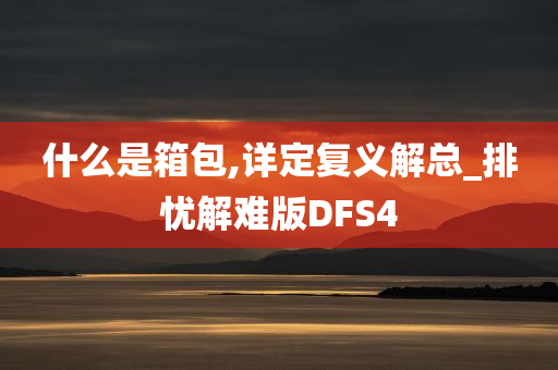 什么是箱包,详定复义解总_排忧解难版DFS4