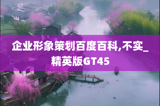 企业形象策划百度百科,不实_精英版GT45