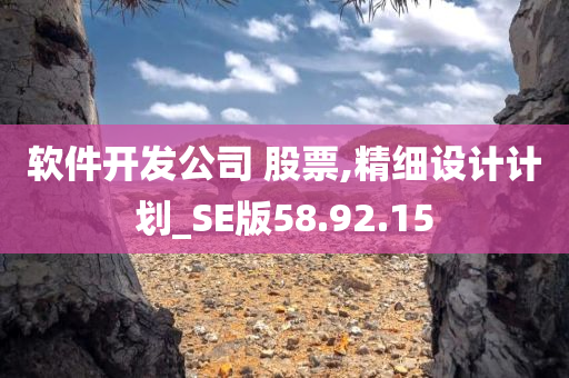 软件开发公司 股票,精细设计计划_SE版58.92.15