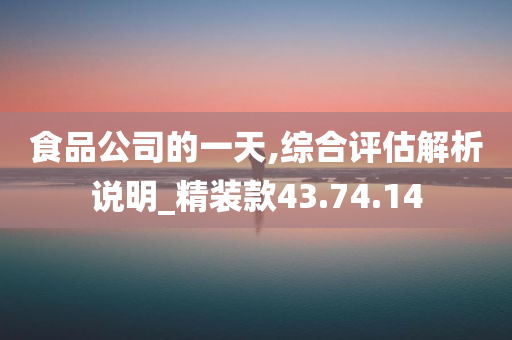 食品公司的一天,综合评估解析说明_精装款43.74.14