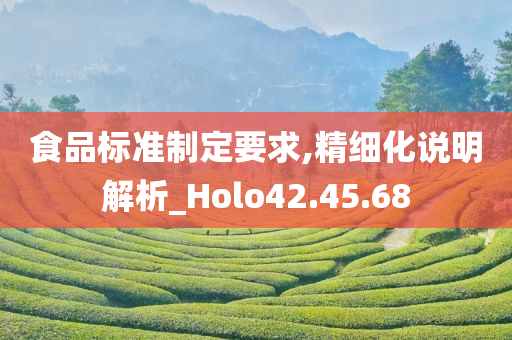 食品标准制定要求,精细化说明解析_Holo42.45.68