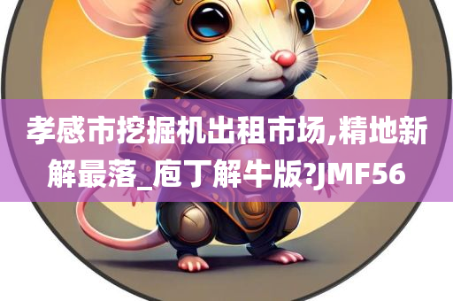 孝感市挖掘机出租市场,精地新解最落_庖丁解牛版?JMF56