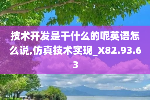 技术开发是干什么的呢英语怎么说,仿真技术实现_X82.93.63