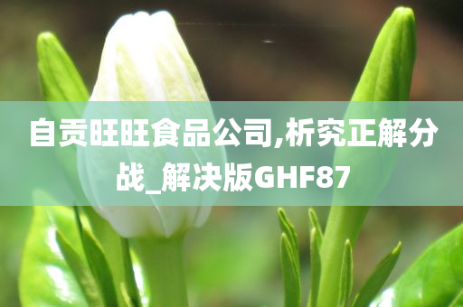 自贡旺旺食品公司,析究正解分战_解决版GHF87