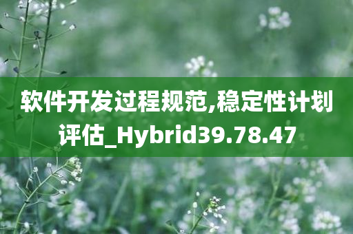 软件开发过程规范,稳定性计划评估_Hybrid39.78.47