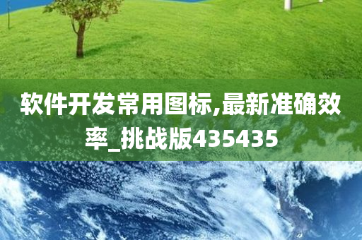 软件开发常用图标,最新准确效率_挑战版435435