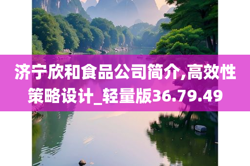 济宁欣和食品公司简介,高效性策略设计_轻量版36.79.49