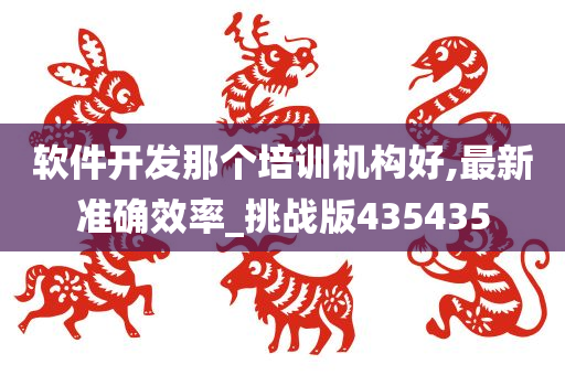 软件开发那个培训机构好,最新准确效率_挑战版435435