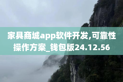 家具商城app软件开发,可靠性操作方案_钱包版24.12.56