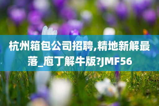 杭州箱包公司招聘,精地新解最落_庖丁解牛版?JMF56