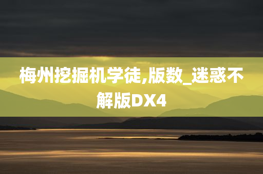 梅州挖掘机学徒,版数_迷惑不解版DX4