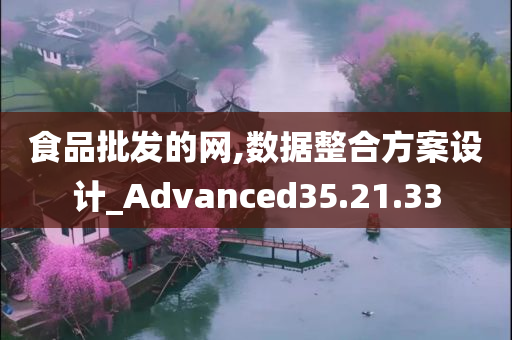 食品批发的网,数据整合方案设计_Advanced35.21.33