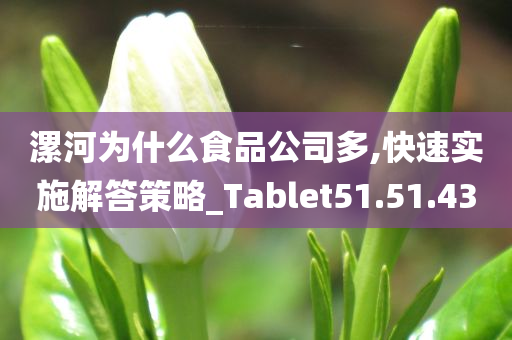 漯河为什么食品公司多,快速实施解答策略_Tablet51.51.43