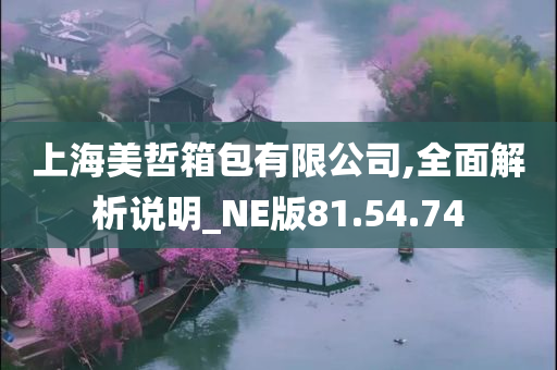 上海美哲箱包有限公司,全面解析说明_NE版81.54.74