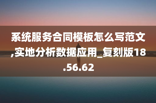 系统服务合同模板怎么写范文,实地分析数据应用_复刻版18.56.62