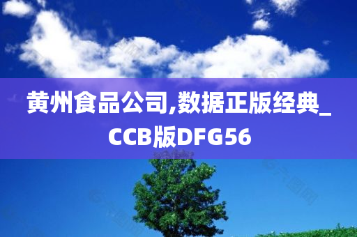 黄州食品公司,数据正版经典_CCB版DFG56