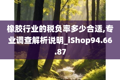 橡胶行业的税负率多少合适,专业调查解析说明_iShop94.66.87