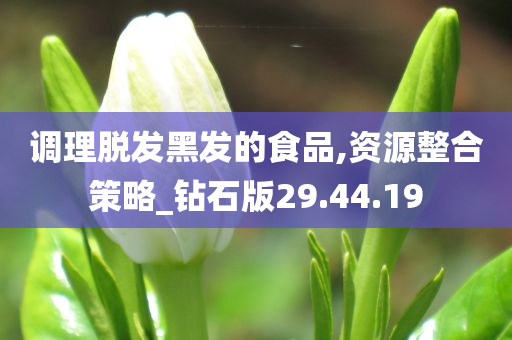 调理脱发黑发的食品,资源整合策略_钻石版29.44.19