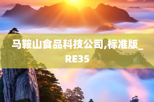 马鞍山食品科技公司,标准版_RE35