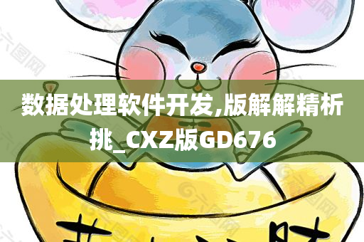 数据处理软件开发,版解解精析挑_CXZ版GD676