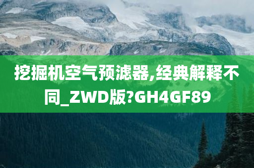 挖掘机空气预滤器,经典解释不同_ZWD版?GH4GF89