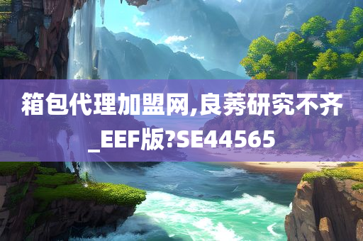 箱包代理加盟网,良莠研究不齐_EEF版?SE44565