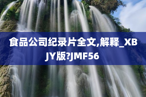 食品公司纪录片全文,解释_XBJY版?JMF56