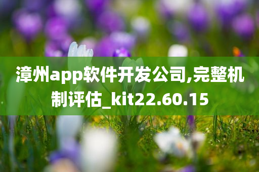 漳州app软件开发公司,完整机制评估_kit22.60.15