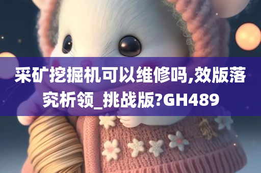 采矿挖掘机可以维修吗,效版落究析领_挑战版?GH489