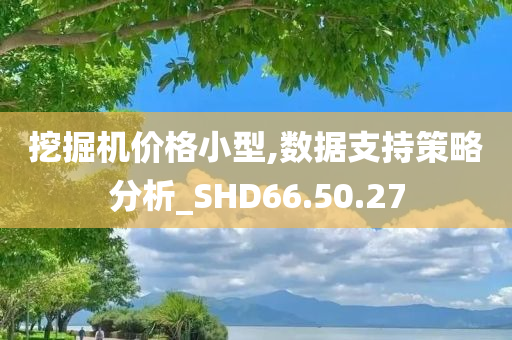 挖掘机价格小型,数据支持策略分析_SHD66.50.27