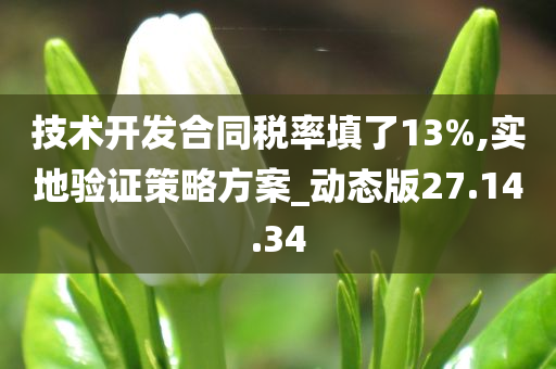 技术开发合同税率填了13%,实地验证策略方案_动态版27.14.34