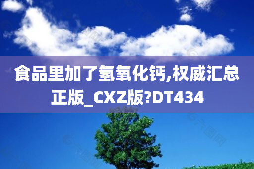 食品里加了氢氧化钙,权威汇总正版_CXZ版?DT434