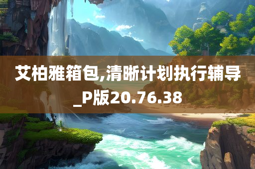 艾柏雅箱包,清晰计划执行辅导_P版20.76.38